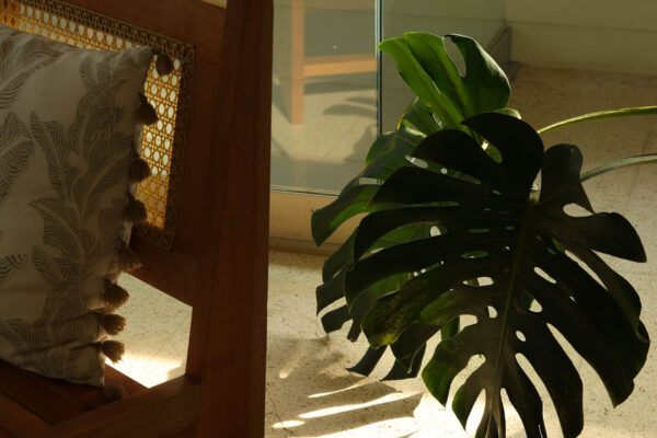 pochote-_0007_IMG_1736