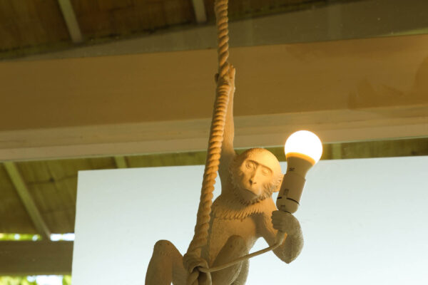 pochote-_0020_IMG_1716